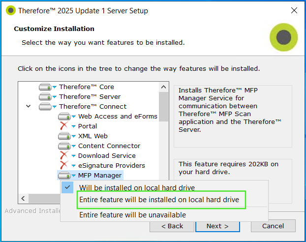 Fenêtre d'installation de Therefore™ Server illustrant l'option d'installation correcte